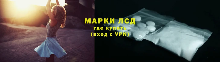 стаф Волгодонск