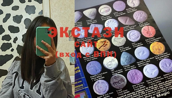 ECSTASY Краснослободск