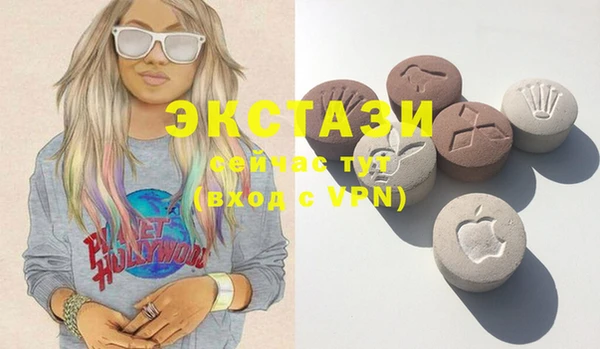 ECSTASY Краснослободск