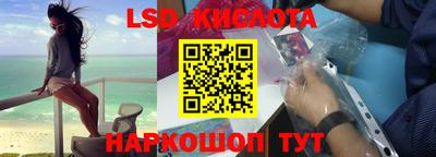 прущие грибы Донецк