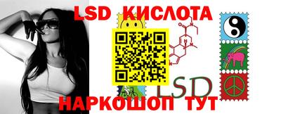 прущие грибы Донецк