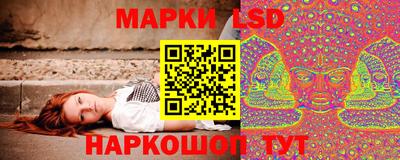 прущие грибы Донецк