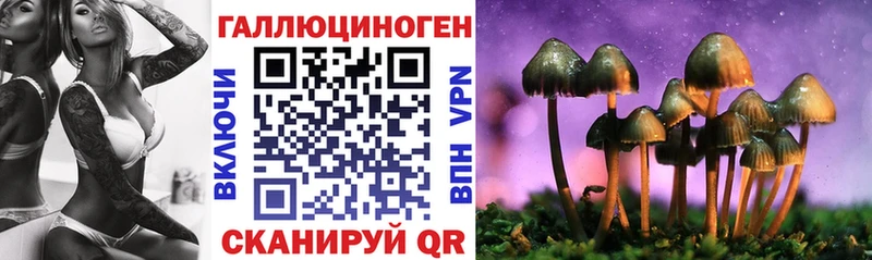 дарнет шоп  shop Telegram  Псилоцибиновые грибы Psilocybe  Мелеуз 