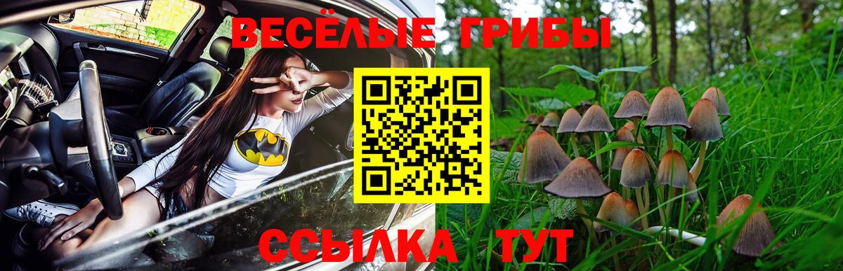 Псилоцибиновые грибы Psilocybine cubensis Мелеуз
