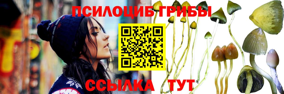 Псилоцибиновые грибы GOLDEN TEACHER  цены   Вход с VPN  Мелеуз  Галлюциногенные грибы мицелий 